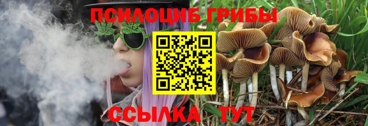 Псилоцибиновые грибы ЛСД  Вход с VPN  Казань 